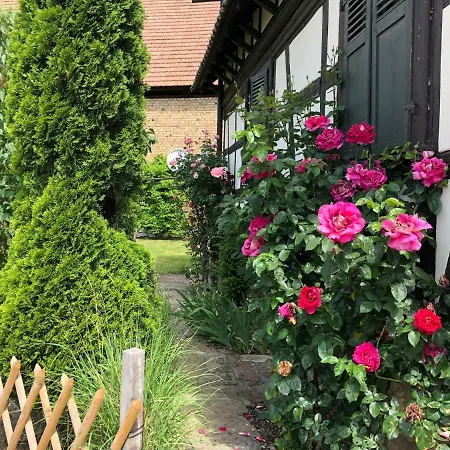 La Stube De Marinette 5 Etoiles Hipsheim