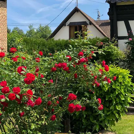 La Stube De Marinette 5 Etoiles