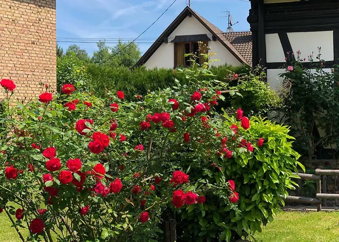 La Stube De Marinette 5 Etoiles